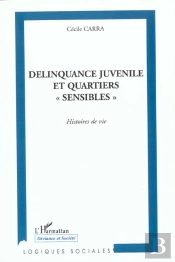 Delinquance Juvenile Et Quartiers Sensibles ; Histoire De Vie
