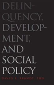 Delinquency, Development, And Social Policy
