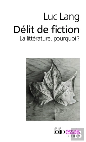 Délit De Fiction
