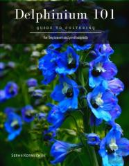 Delphinium 101