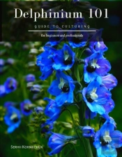 Delphinium 101
