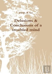 Delusions & Conclusions Of A Troubled Mi