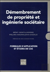 Demembrement De Propriete Et Ingenierie Societaire