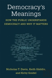 Democracy'S Meanings
