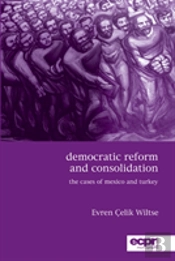 Democratic Reform And Consolidation