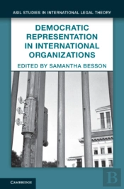 Democratic Representation In International Organizations