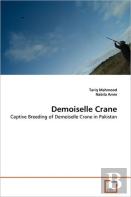Demoiselle Crane