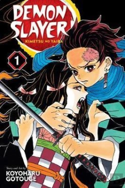 Bertrand.pt - Demon Slayer: Kimetsu No Yaiba, Vol. 1