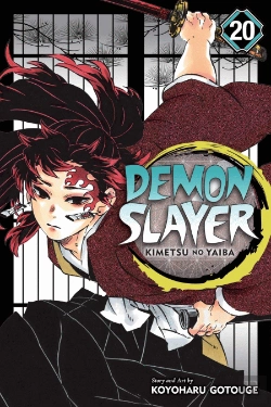 Bertrand.pt - Demon Slayer: Kimetsu No Yaiba, Vol. 20