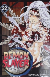 Demon Slayer: Kimetsu No Yaiba, Vol. 22