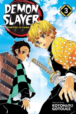 Bertrand.pt - Demon Slayer: Kimetsu No Yaiba, Vol. 3