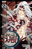 Demon Slayer N.º 22