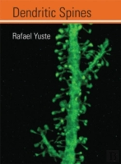 Bertrand.pt - Dendritic Spines