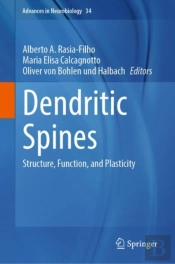 Dendritic Spines