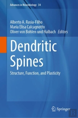 Bertrand.pt - Dendritic Spines