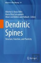 Dendritic Spines