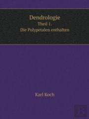 Dendrologie Theil 1. Die Polypetalen Enthalten