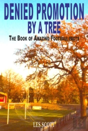 Denied Promotion By A Tree