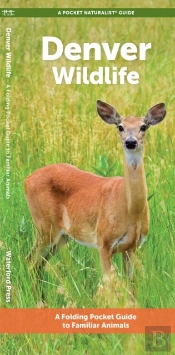 Denver Wildlife