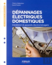 Depannages Electriques Courants - Petits Depannages De L'Installation Electrique Et Des Appareils Me