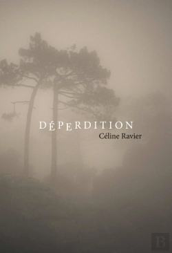 Bertrand.pt - Déperdition
