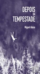 Depois da Tempestade