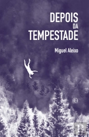 Depois da Tempestade