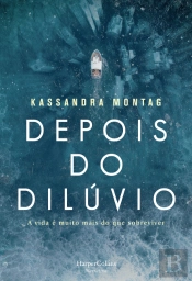 Depois do Dilúvio