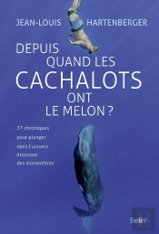 Depuis Quand Les Cachalots Ont Le Melon ?