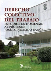 Derecho Colectivo Del Trabajo Estudios En Homenaje Al Profesor Jose Lu
