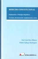 Derecho Constitucional. Fundamentos Y Principios Dogmáticos.