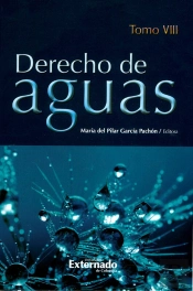 Derecho De Aguas.