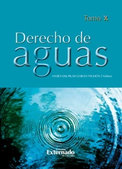 Derecho De Aguas Tomo X