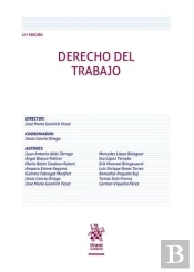 Derecho Del Trabajo 13ª Edicion
