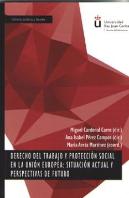 Derecho Del Trabajo Y Protección Social En La Unión Europea: Situación Actual Y Perspectivas De Futu