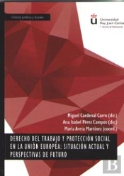 Derecho Del Trabajo Y Protección Social En La Unión Europea: Situación Actual Y Perspectivas De Futu