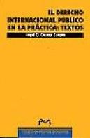 Derecho Internacional Publico En La Practica, El