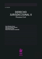 Derecho Jurisdiccional Ii