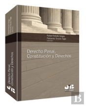 Derecho Penal, Constitución Y Derechos.