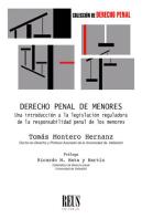 Derecho Penal De Menores