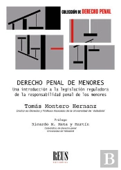 Derecho Penal De Menores