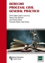 Derecho Procesal Civil General Práctico
