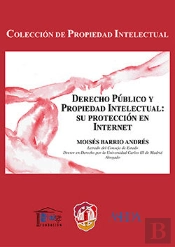 Derecho Público Y Propiedad Intelectual: Su Protección En Internet