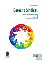 Derecho Sindical