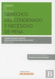 Derechos Del Condenado Y Necesidad De Pena (Papel + E-Book)