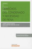 Derechos Del Condenado Y Necesidad De Pena (Papel + E-Book)