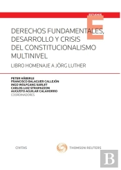 Derechos Fundamentales, Desarrollo Y Crisis Del Constitucionalismo Multinivel