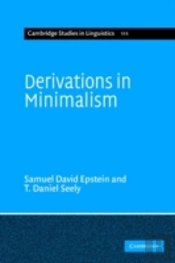 Derivations In Minimalism