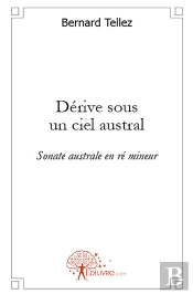 Dérive Sous Un Ciel Austral