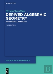 Derived Algebraic Geometry